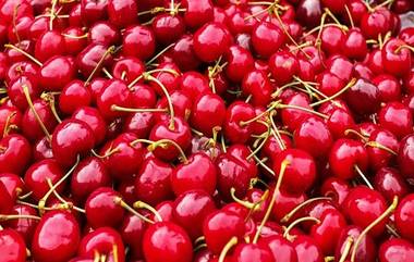 Health Benefits of Cherries: वजन कमी करण्यापासून ते प्रतिकार शक्ति वाढवण्यापर्यंत चेरी खाण्याचे 'हे' आहेत गुणकारी फायदे