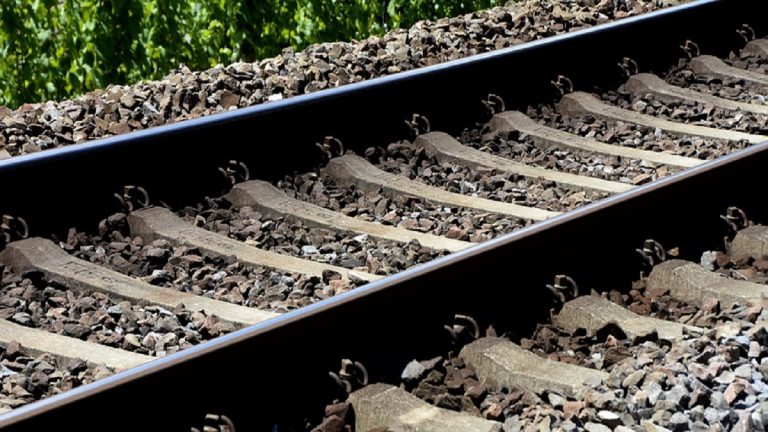 Railway Crossing Video: अरे देवा! रेल्वे आली आणि फाटक उघडेचं, गेटमॅन गेला झोपी; मुंबईतील लोकल ट्रेन मार्गावरील घटना; Watch Video