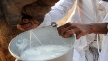 आजपासून दूध 100 रुपयांनी विकले जाणार का? किसान मोर्चाने सांगितलं सत्य