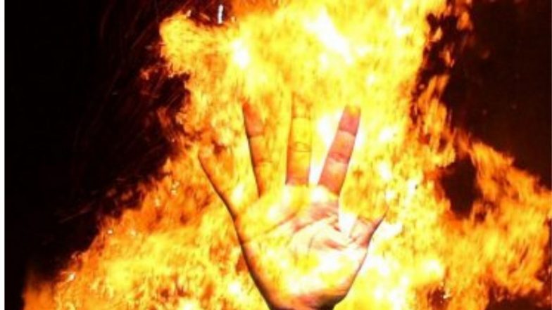 Pune Shivaji Market Fire: पुणे कॅम्प भागातील शिवाजी मार्केटमध्ये भीषण आग; मटण आणि चिकनची 25 दुकाने जळून खाक, 40 लाखांचं नुकसान