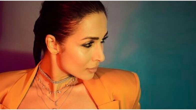 Malaika Arora च्या 'मुन्नी बदनाम हुई' आयटम साँगचा इंग्लडच्या शालेय अभ्यासक्रमात समावेश; अभिनेत्रीने सोशल मीडियावर दिली माहिती