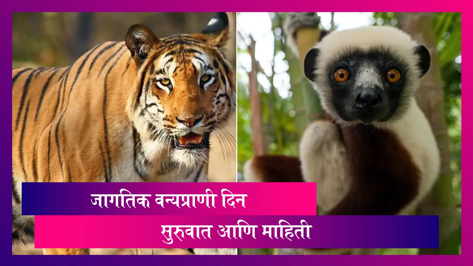 World Wildlife Day 2021: जागतिक वन्यप्राणी दिनानिमित्त जाणून घेऊयात या दिवसाचा इतिहास आणि माहिती