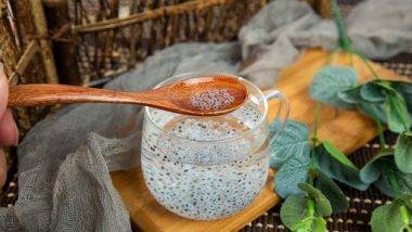 Basil Seeds Benefits: सब्जा बिया खाण्याचे 'हे' आश्चर्यचकीत फायदे तुम्हाला माहीत आहेत का ?