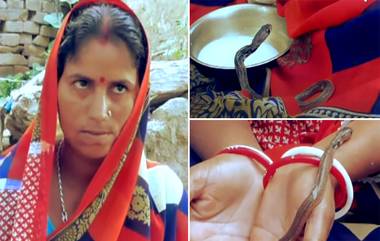 Woman Gave Birth to Snakes? बिहारमधील महिलेने केला 3 सापांना जन्म दिल्याचा दावा; विषारी सापांचा करते मुलासारखा सांभाळ