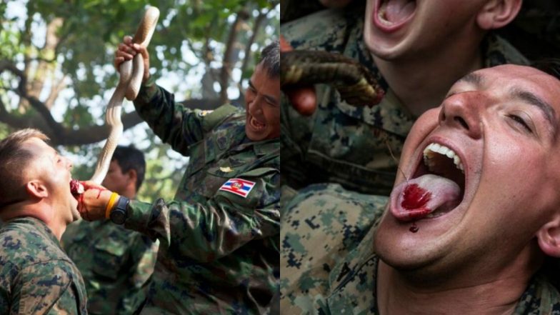 Cobra Gold Exercise: 'या' देशात प्रशिक्षणादरम्यान सैनिक खातात जिवंत विंचू-सरडे, पितात कोब्राचे रक्त; PETA ने दिली आंदोलनाची हाक