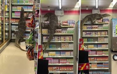 6 फूटी Monitor Lizard जेव्हा Thailand च्या 7-Eleven स्टोअर मध्ये  वस्तूंवरून झपझप चढते; सोशल मीडीयात झपाट्याने वायरल होतोय हा स्तब्ध करणारा व्हिडीओ (watch Video)