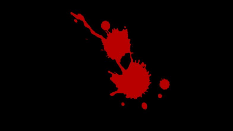 Panvel Murder Case: अखेर 'त्या' पनवेलमधील हत्येचे सत्य आले समोर, प्रियकरासोबत राहण्यासाठी त्याच्या पत्नीची केली हत्या, फेसबुकवरून शोधला कॉन्ट्रॅक्ट किलर