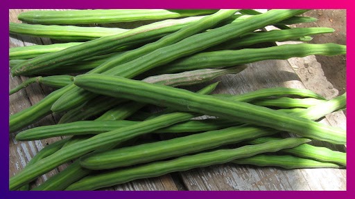 Benefits of Drumsticks: शेवग्याच्या शेंगेमध्ये आहेत औषधी गुण; प्रतिकार शक्ति वाढवण्याबरोबरच ,संधिवातामध्ये ही आहे फायदेशीर