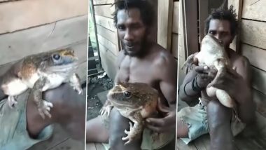 Human Baby Size Frog Viral Video: Solomon Islands मध्ये गावकर्‍यांना आढळला मनुष्याच्या बाळाच्या आकाराइतका मोठा बेडूक (Watch Video)