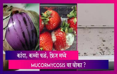 Mucormycosis Myths & Facts: कांदे, फ्रीज मधील बुरशी, कच्ची फळ यावर Black Fungus चा धोका आहे का?