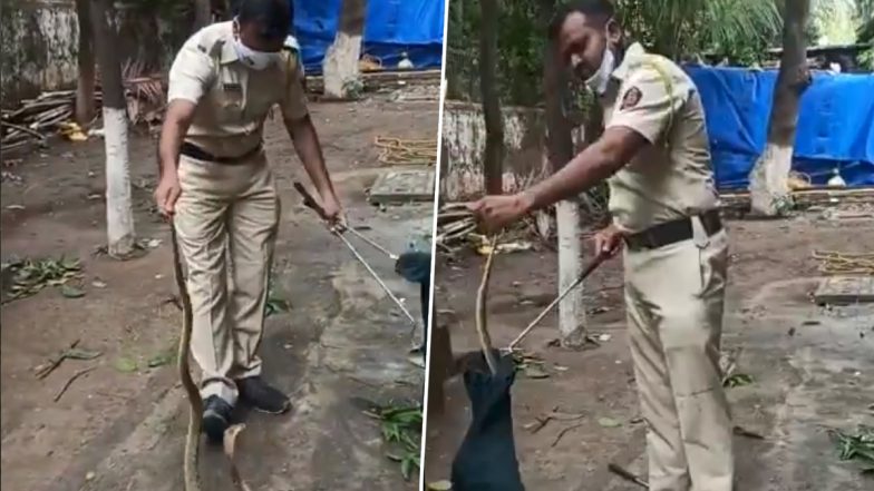 Mumbai Police Rescues Snake: सापाला लीलया रेस्क्यू करणाऱ्या मुंबई पोलिसाची अनोखी कामगिरी; पहा Video