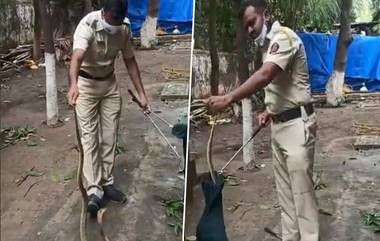 Mumbai Police Rescues Snake: सापाला लीलया रेस्क्यू करणाऱ्या मुंबई पोलिसाची अनोखी कामगिरी; पहा Video