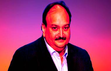 Mehul Choksi PNB Scam: पीएनबी घोटाळा प्रकरणातील आरोपी मेहुल चोकसी याला भारतात खरोखरच आणता येईल?