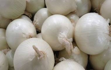 White Onion Health Benefit: फक्त रोगप्रतिकार शक्तिच नाही तर केसगळती ही थांबते, पांढऱ्या कांद्याचे सेवन केल्याने होतात 'हे' आरोग्यदायी फायदे 