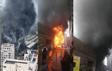 London Fire: एलिफंट कॅसल रेल्वे स्थानकाजवळ भीषण आग; 15 फायर इंजिन आणि सुमारे 100 अग्निशामक कर्मचाऱ्यांनी आणली आटोक्यात (Watch Video)