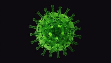 Corona Virus Update: कोरोना व्हायरसच्या वाढत्या प्रकरणांमुळे पुण्यामध्ये सेल्फ-टेस्ट किटची मागणी वाढली