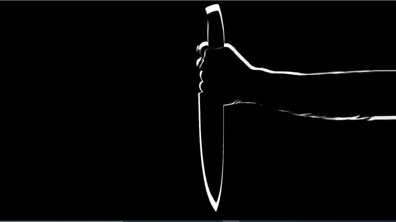Maharashtra Shocker: पालघर येथे 18 वर्षाच्या तरुणाकडून आईची हत्या, किरकोळ भांडणातून कृत्य