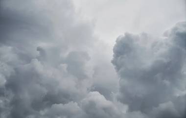 Maharashtra Weather Update: महाराष्ट्रात 11 ऑगस्ट पासून पावसात घट अपेक्षित Maharashtra Weather Update: महाराष्ट्रात 11 ऑगस्ट पासून पावसात घट अपेक्षित