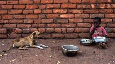 Severely Acute Malnourished: भारतामधील 9.2 लाखाहून अधिक मुले तीव्र कुपोषित; उत्तर प्रदेश व बिहारमध्ये सर्वाधिक कुपोषण, जाणून घ्या महाराष्ट्राची स्थिती