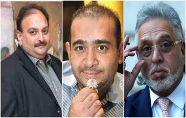 Vijay Mallya, Nirav Modi, Mehul Choksi Assets: विजय माल्या, निरव मोदी, मोहुल चौक्सी यांच्यावर ED ची कारवाई;  9,371 कोटी रुपयांची संपत्ती बँकांकडे हस्तांतरीत