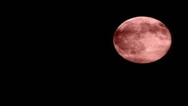 Strawberry Moon 2021 Visibility Time in India: 'स्ट्रॉबेरी मून' कुठे, कधी आणि कसे पाहू शकाल? जाणून घ्या याबद्दल सविस्तर 