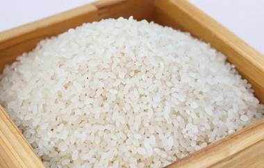 Side Effects Of Raw Rice: तुम्हाला कच्चे तांदूळ खाण्याची सवय आहे? मग आताच व्हा सावध अन्यथा होऊ शकते मोठी समस्या 