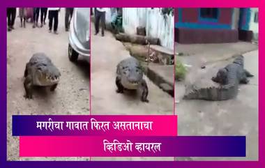 Crocodile In Dendeli Village, North Karnataka: मगर चक्क गावभर फिरतानाचा व्हिडिओ झाला व्हायरल