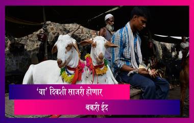 Bakri Eid 2021 Date: इस्लामिक कॅलेंडरचा शेवटचा महिना 12 जुलैपासून; 21 जुलैला बकरी ईद साजरी होणार