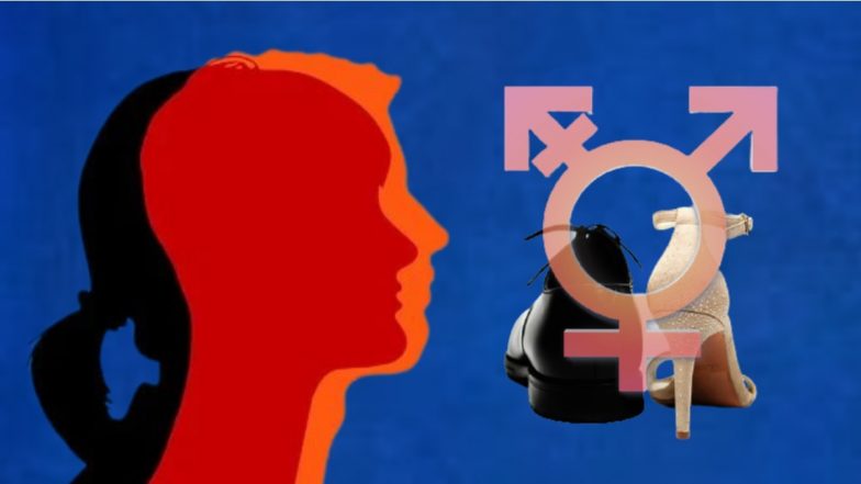 Transgender Reservation: ट्रान्सजेंडर समूहाला सरकारी नोकरीत आरक्षण, कर्नाटक सरकारचे ऐतिहासिक पाऊल