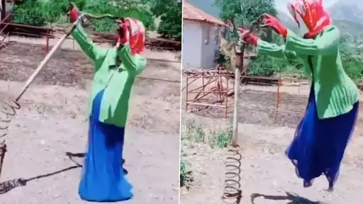Scariest Scarecrow Ever: शेतातील पीक संरक्षणासाठी केला असा जुगाड जे बघून पक्षीच काय तर लोक ही घाबरून पळून जातील (Watch Video)