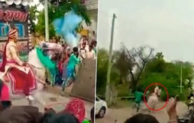 Viral Video: वरातीतील घोड्याने वराला घडवली 4 किमीची सैर, नंतर वराची बिघडली तब्येत