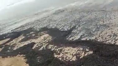 Mumbai: तेलगळतीमुळे जुहू बीचवर जमा झाली काळी वाळू; स्वच्छता प्रक्रीयेला सुरुवात (Watch Video)