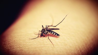 Dengue Cases In Delhi: कोरोनानंतर आता दिल्लीला डेंग्यू आणि चिकनगुनियाचा धोका, एका आठवड्यात आढळले 13 रुग्ण