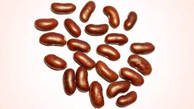 धक्कादायक! व्यक्तीने मजेसाठी प्रायव्हेट प्रार्टमध्ये घुसवले Kidney Beans, गंभीर स्थितीत पोहचला रुग्णालयात