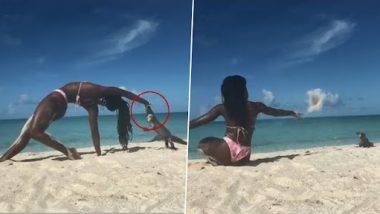 Bikini Yoga Video: समुद्र किनारी योगा करणाऱ्या महिलेचा विशाल घोरपडीने घेतला चावा, रक्तबंबाळ झाल्याचा व्हिडिओ व्हायरल  ( Watch Video)