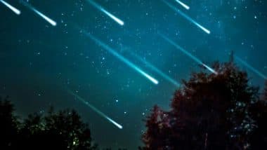 Perseid Meteor Shower 2021: आकाशातील आतषबाजी पाहण्यास सज्ज व्हा; आज रात्री होणार उल्का वर्षाव, जाणून घ्या कधी व कुठे दिसणार