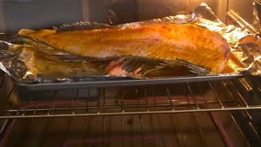 Oven मध्ये शिजायला ठेवलेला माशाचा तुकडा उडतानाचा व्हिडिओ वायरल; नेटकर्‍यांनी केली भयपटातील सीन सोबत तुलना (Watch Video)