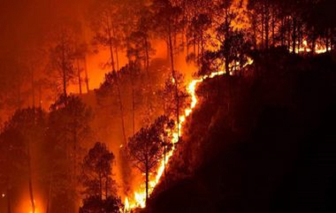 Itly WildFire: इटलीच्या जंगलात भीषण आग, आतापर्यंत आगीमुळे 3 लोकांचा बळी, प्रशासनाकडून हाय अलर्ट जारी