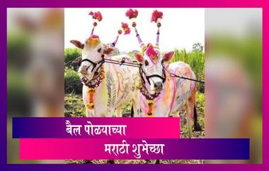 Bail Pola Wishes In Marathi: बैल पोळा शुभेच्छा HD Image, WhatsApp Status, Facebook Messages