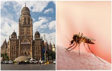 Mumbai Rains and Epidemics: अनिश्चित पावसामुळे मुंबईत साथीचे आजार बळावले; डेंग्यू, लेप्टोपायरसीस रुग्णांमध्ये वाढ