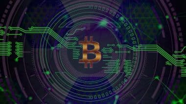 Bitcoin Crisis in 2022:  क्रिप्टोकरन्सी क्रॅश होण्याची शक्यता, अभ्यासकांनी दिले बाहेर पडण्याचे संकेत