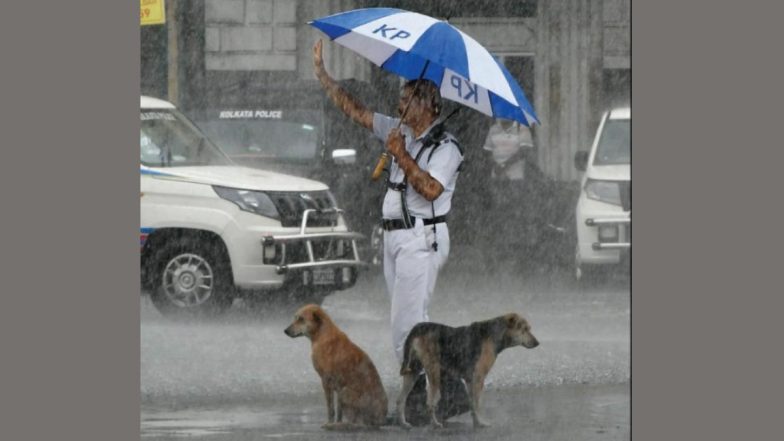 Kolkata Traffic Police Photo: भरपावसात वाहतूक पोलिसाच्या छत्रीखाली विसावले दोन श्वान; कोलकाता वाहतूक पोलिसाचा फोटो व्हायरल