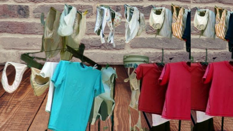 Neighbour Women's Undergarments: नवऱ्याच्या सुट्टी दिवशी अंतर्वस्त्रे उघड्यावर सुखवते, शेजारीणी विरोधात महिलेची पोलिसात तक्रार