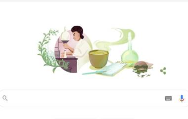 Michiyo Tsujimura Google Doodle: मिचिओ त्सुजिमुरा, Green Tea Researcher यांना 133 व्या जयंती निमित्त गूगल चं खास डूडल