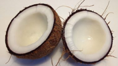 World Coconut Day 2021: का साजरा केला जातो जागतिक नारळ दिवस ? जाणून घ्या याचे महत्व