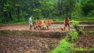PM Kisan Samman Nidhi: दिवाळीपूर्वी मोदी सरकारने शेतकऱ्यांना दिली खूशखबर! किसान सन्मान निधीच्या 12 व्या हप्त्याची रक्कम 'या' तारखेला जमा होणार