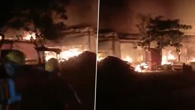 Thane Fire: भिवंडी मध्ये फर्निचर गोदामातील आगीत 40 दुकानं जळून खाक; सुदैवाने जिवितहानी नाही