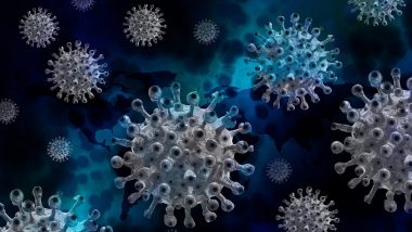 Coronavirus Cases Today: कोरोना रुग्णसंख्येत वाढ, 24 तासांत 2380 नवीन रुग्णांची नोंद, 56 मृत्यू