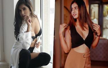 Mayanka Pereira Hot Photo: पहा अभिनेत्री मयंका परेराचे हॉट फोटो