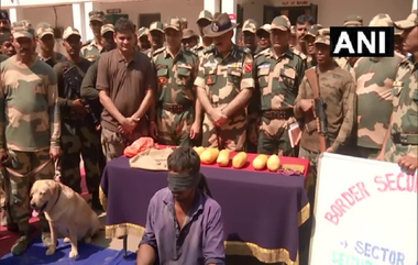 Punjab BSF Action: अमृतसरमध्ये सीमा सुरक्षा दलाची मोठी कारवाई, पाकिस्तानी तस्करांकडून 6 पॅकेट हेरॉईन जप्त, एकास अटक